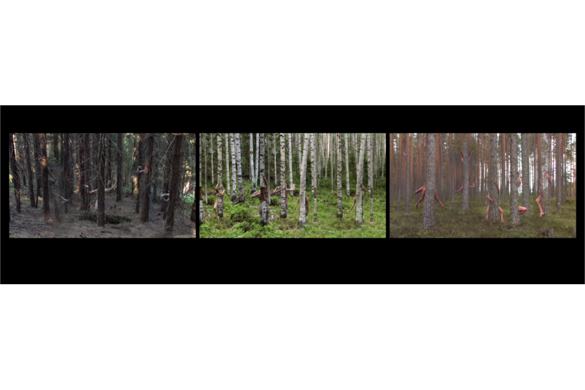 Image example of 3-channel video installation, 